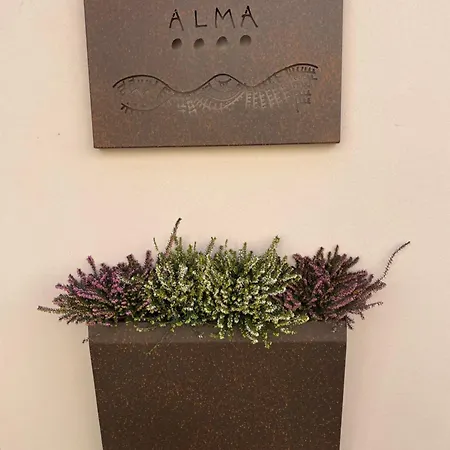 Alma I Luoghi Dell Anima Diano dʼAlba